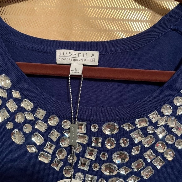 JOSEPH A~ BLUE~BLING BLOUSE~LG~NWT - Picture 3 of 4